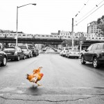Bronx Rooster 2 by Marisol Díaz