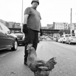 Max and Rooster 2 by Marisol Díaz